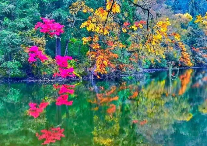 救援水管工